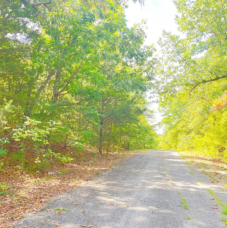 Mature Trees and Open Ground — Just 0.7 Mile to Crown Lake! - Image 3