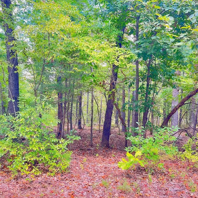 Decorative background for Mature Trees and Open Ground — Just 0.7 Mile to Crown Lake! image 8