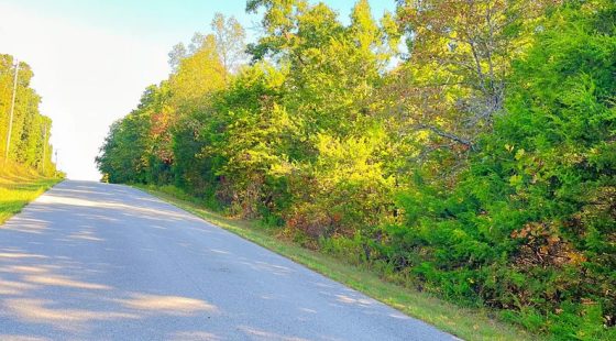 A Peaceful Vista to Settle Down Between Two Lakes in Izard County, AR