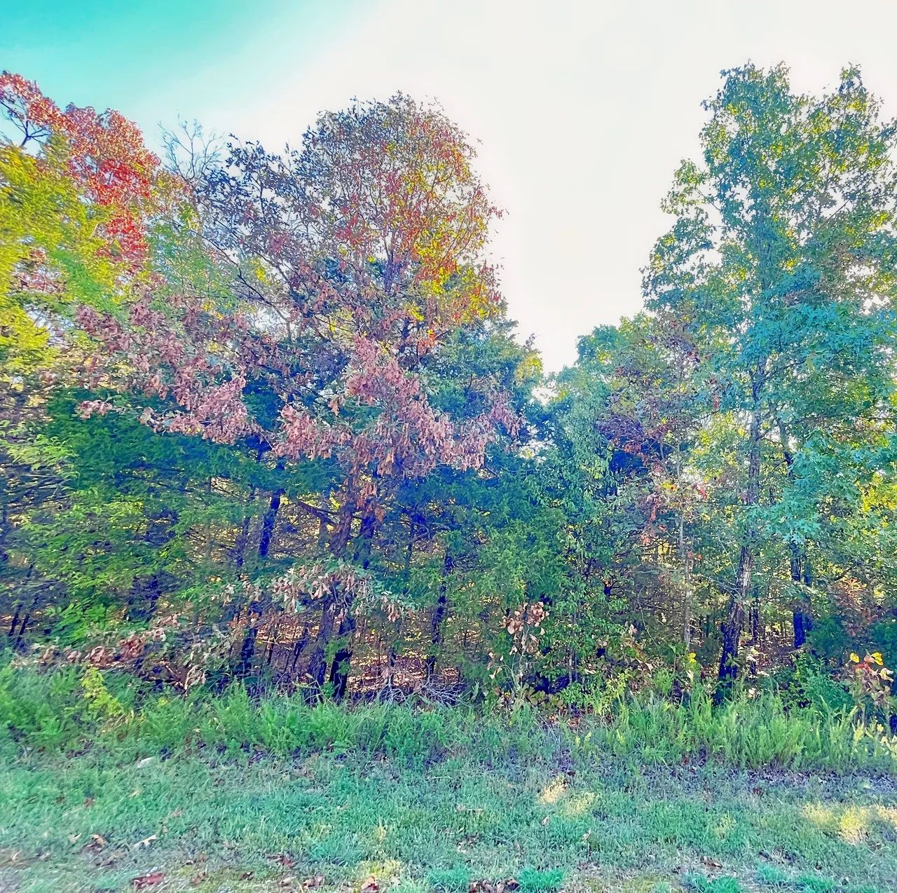 A Peaceful Vista to Settle Down Between Two Lakes in Izard County, AR