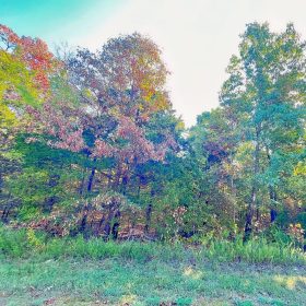 A Peaceful Vista to Settle Down Between Two Lakes in Izard County, AR