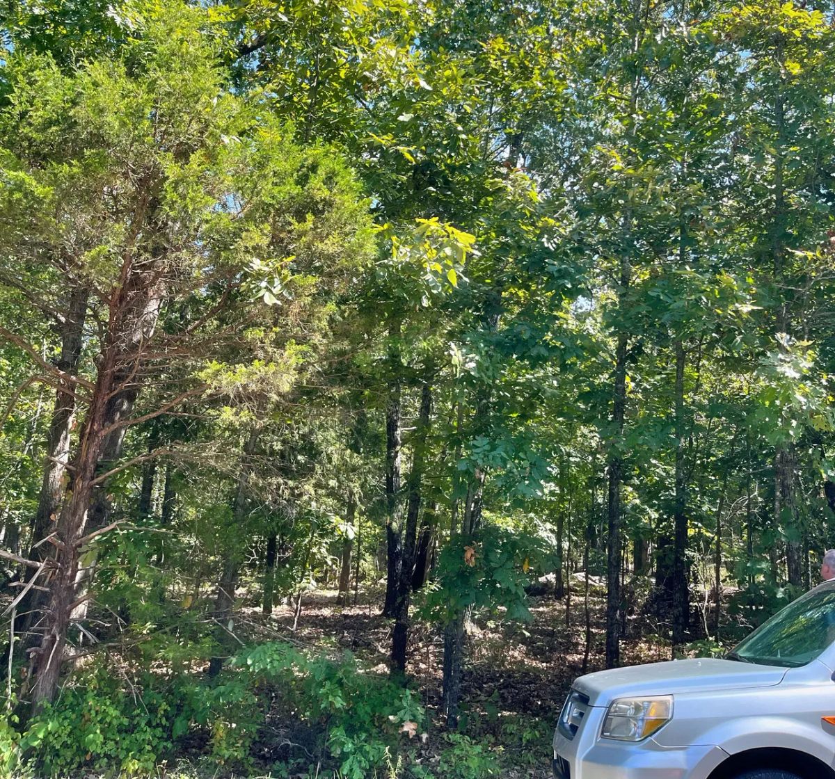 Walk to the Lake. Come Home to the Oaks. Start Building Your Easier Life. - Image 2