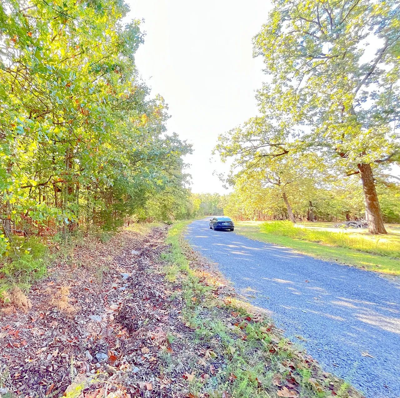 A Comfortable Place to Settle Down – Level Wooded Lot in North Shore, Surrounded by Crown Lake