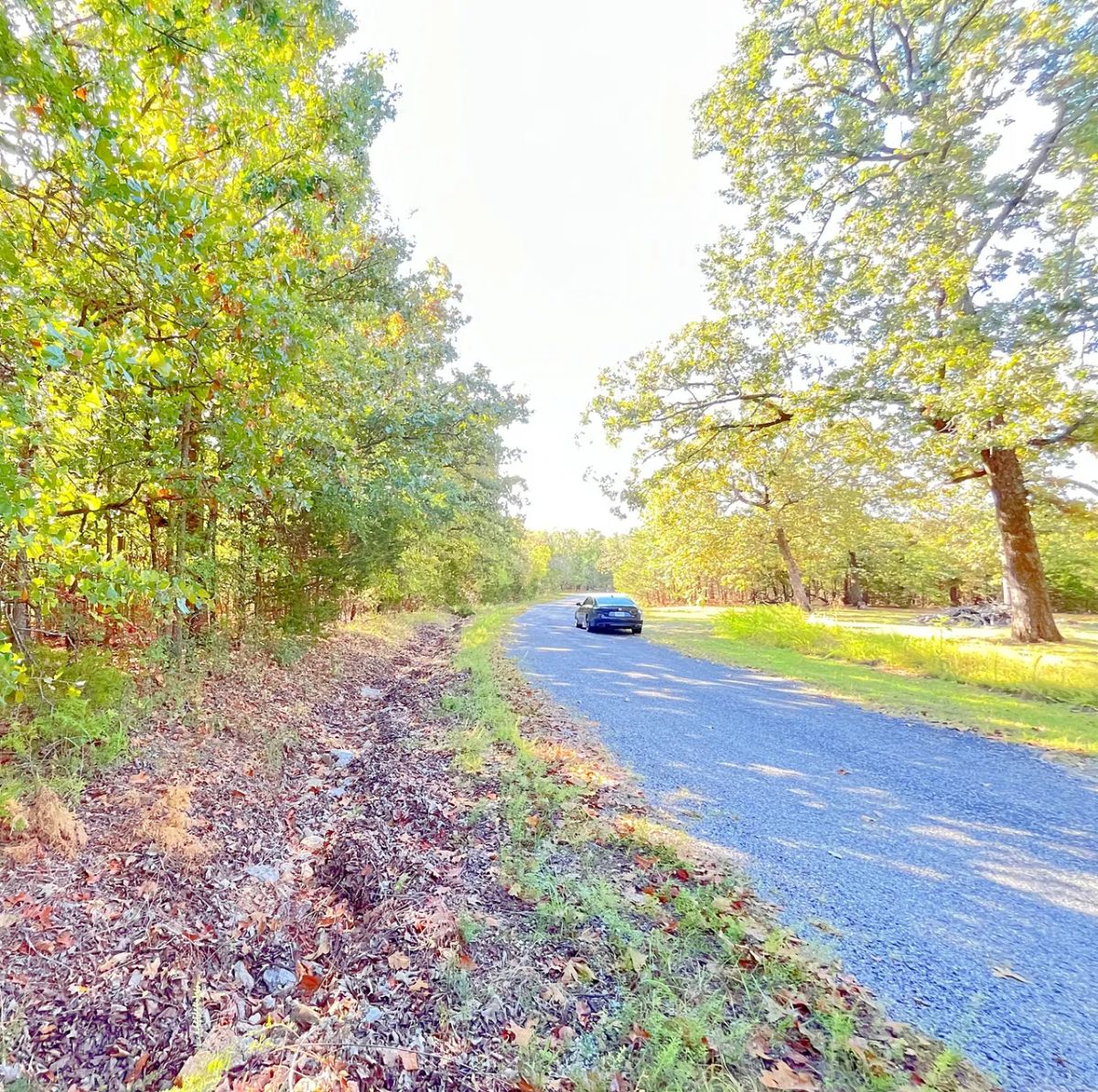 A Comfortable Place to Settle Down – Level Wooded Lot in North Shore, Surrounded by Crown Lake - Main image