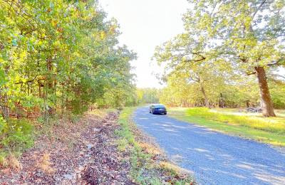 A Comfortable Place to Settle Down – Level Wooded Lot in North Shore, Surrounded by Crown Lake