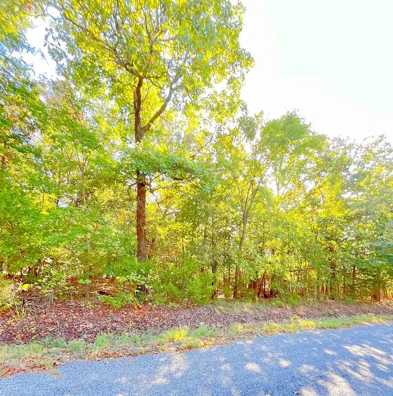 A Comfortable Place to Settle Down – Level Wooded Lot in North Shore, Surrounded by Crown Lake - Image 2
