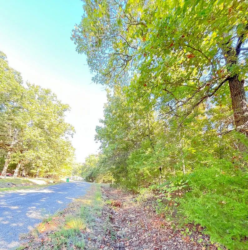 Decorative background for A Comfortable Place to Settle Down – Level Wooded Lot in North Shore, Surrounded by Crown Lake image 5