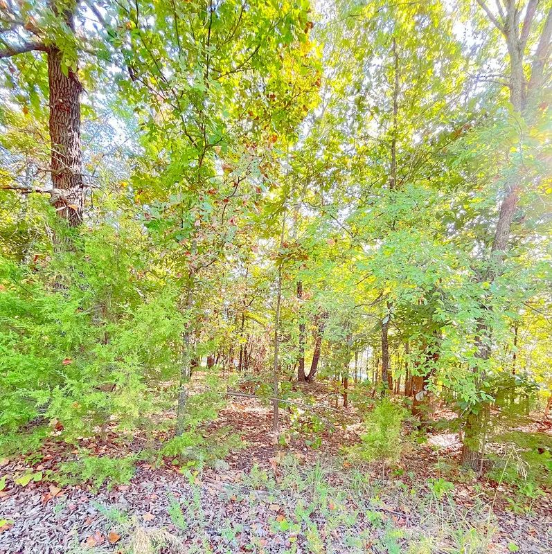 Decorative background for A Comfortable Place to Settle Down – Level Wooded Lot in North Shore, Surrounded by Crown Lake image 6