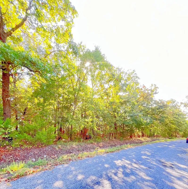 Decorative background for A Comfortable Place to Settle Down – Level Wooded Lot in North Shore, Surrounded by Crown Lake image 7
