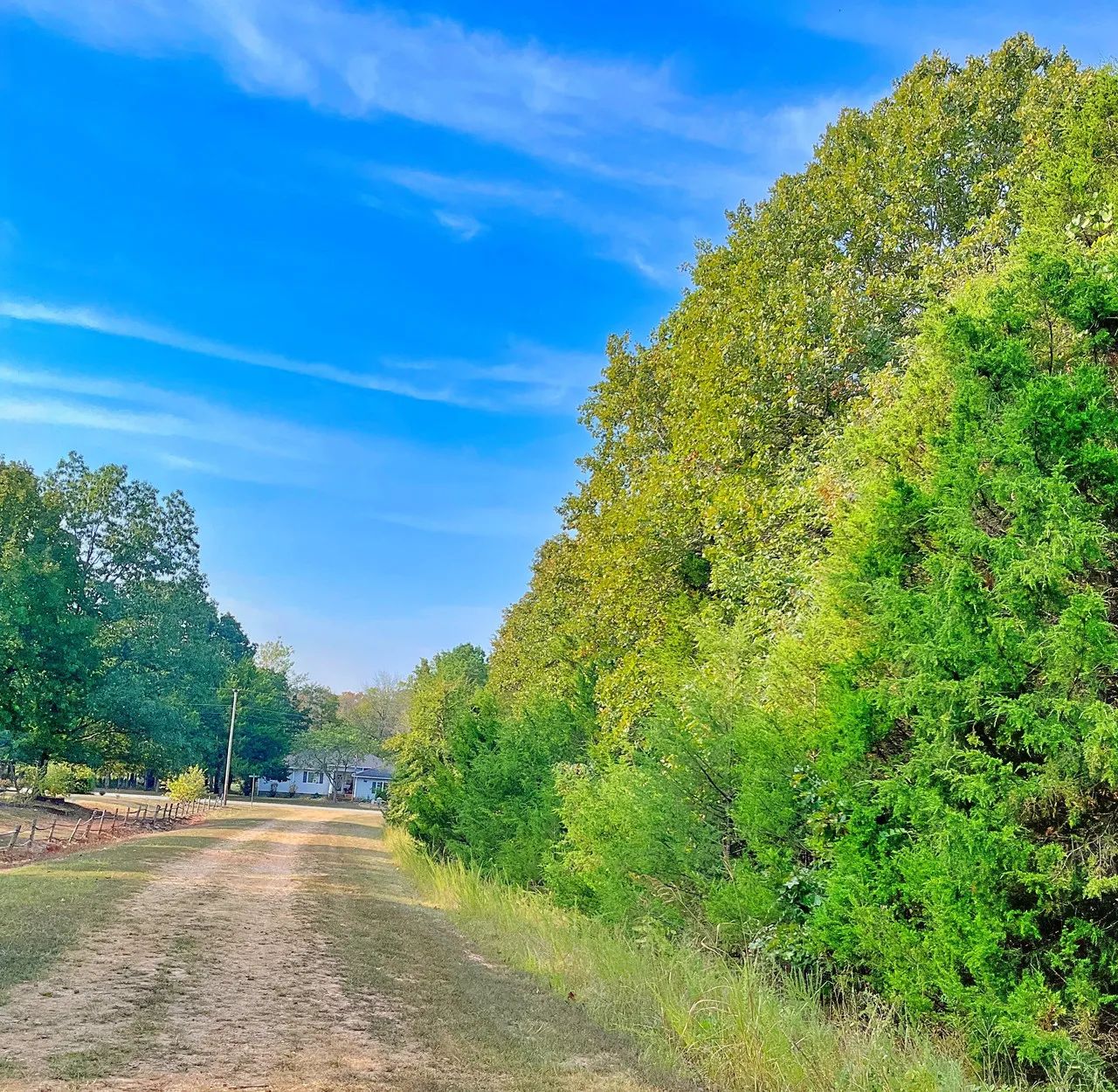 Crown Lake Views—Your Daily Dose of Peace & Beauty 🌲 in Izard County, AR