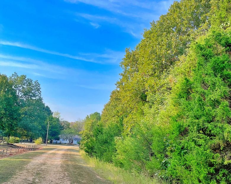 Crown Lake ViewsβYour Daily Dose of Peace & Beauty π² in Izard County, AR