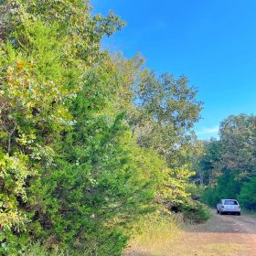 Crown Lake ViewsβYour Daily Dose of Peace & Beauty π² in Izard County, AR