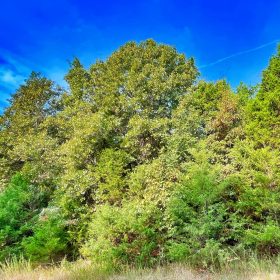 Crown Lake ViewsβYour Daily Dose of Peace & Beauty π² in Izard County, AR