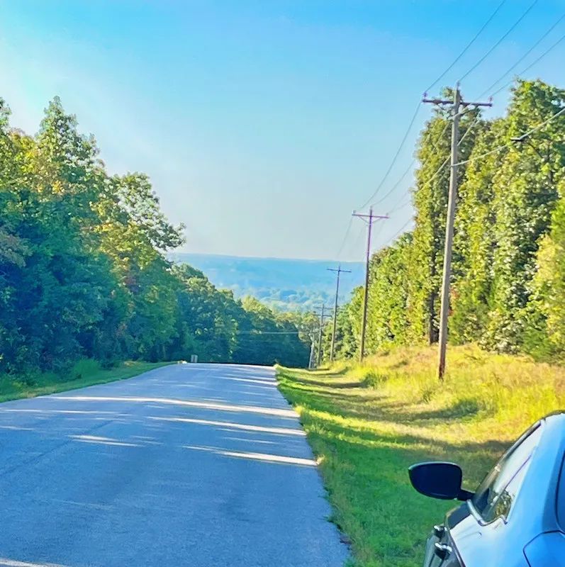 A Level, Wooded 0.41-Acre Lot with Paved Road Access, Utilities Available, and Two Beautiful Ozark Lakes Nearby! - Main image