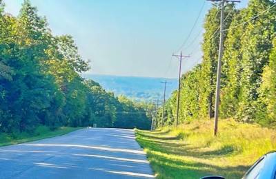 A Level, Wooded 0.41-Acre Lot with Paved Road Access, Utilities Available, and Two Beautiful Ozark Lakes Nearby!