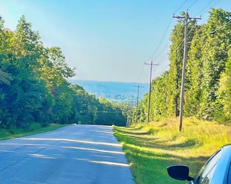 A Level, Wooded 0.41-Acre Lot with Paved Road Access, Utilities Available, and Two Beautiful Ozark Lakes Nearby! in Izard County, AR