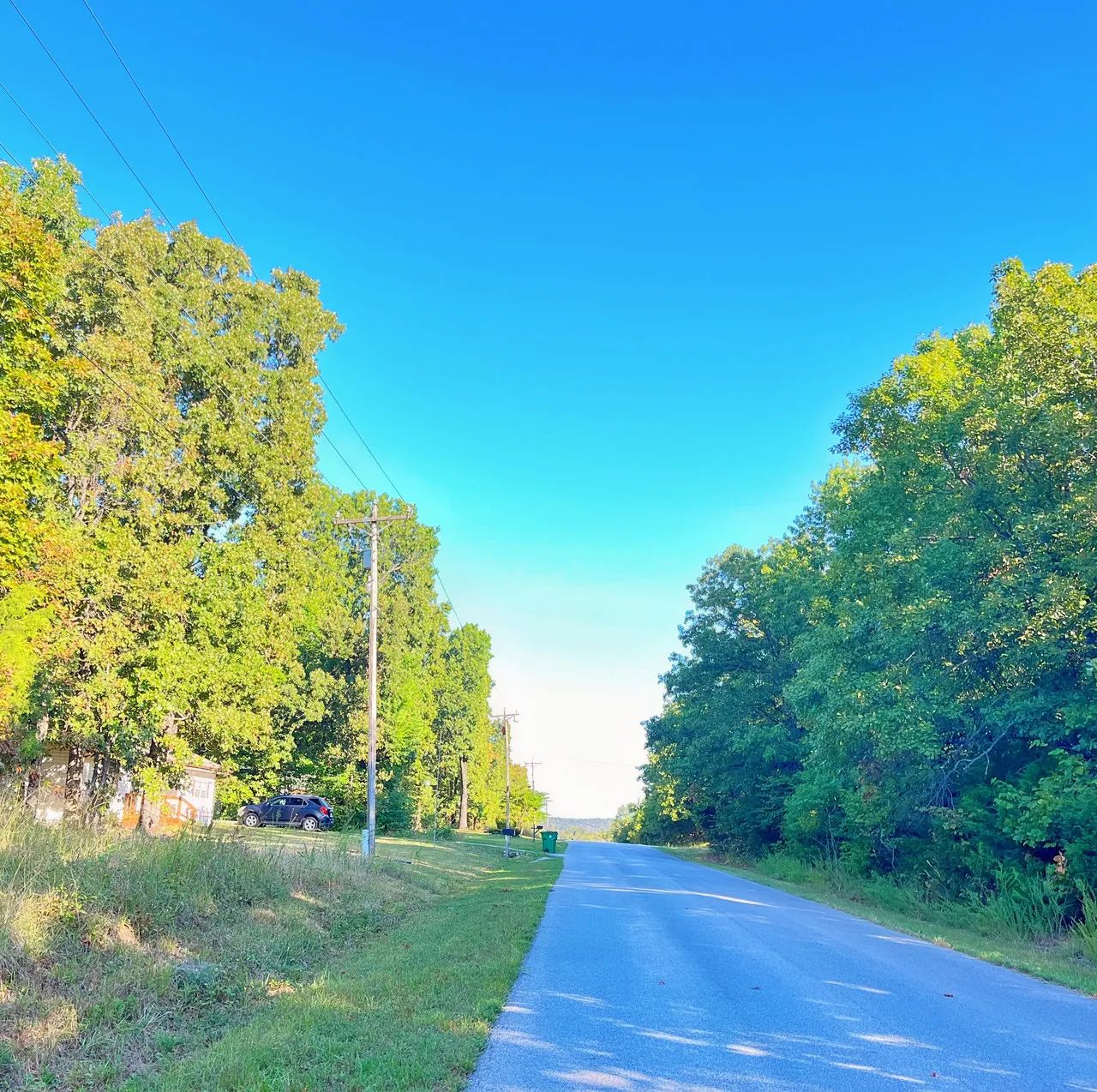 A Level, Wooded 0.41-Acre Lot with Paved Road Access, Utilities Available, and Two Beautiful Ozark Lakes Nearby! in Izard County, AR