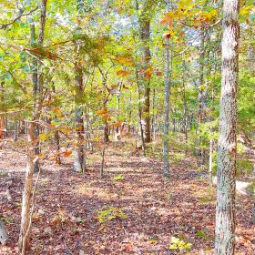 A Level, Wooded 0.41-Acre Lot with Paved Road Access, Utilities Available, and Two Beautiful Ozark Lakes Nearby! in Izard County, AR