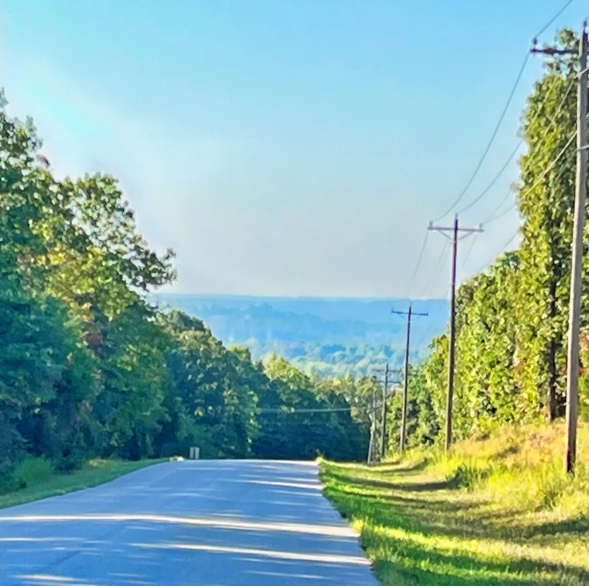 Decorative background for A Level, Wooded 0.41-Acre Lot with Paved Road Access, Utilities Available, and Two Beautiful Ozark Lakes Nearby! image 6