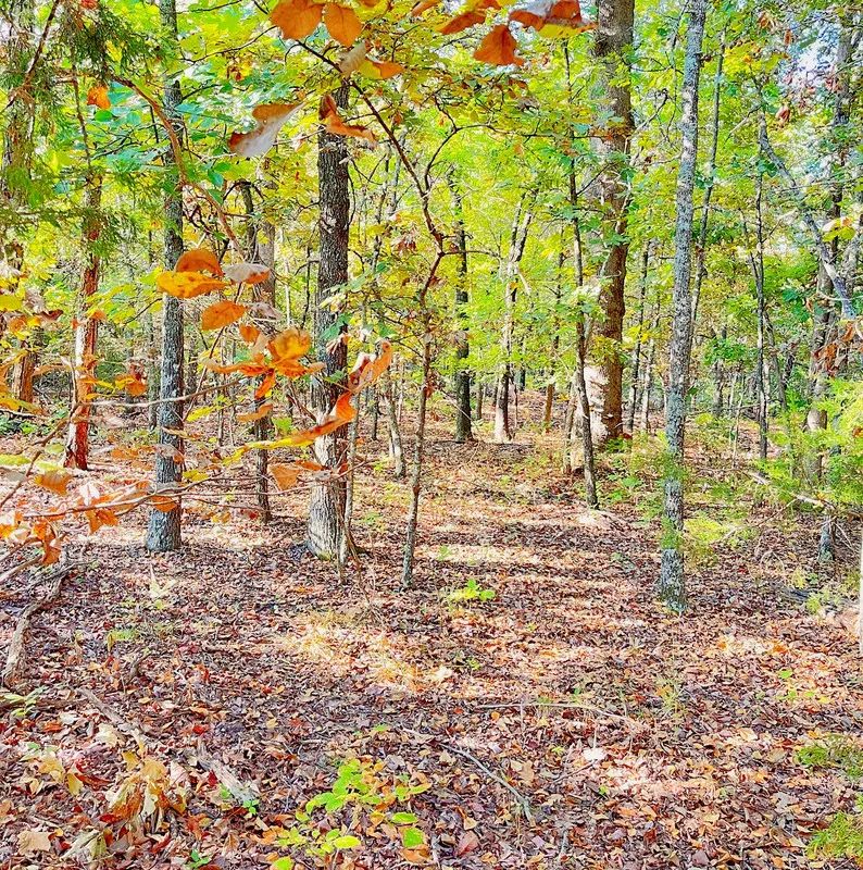 Decorative background for A Level, Wooded 0.41-Acre Lot with Paved Road Access, Utilities Available, and Two Beautiful Ozark Lakes Nearby! image 7