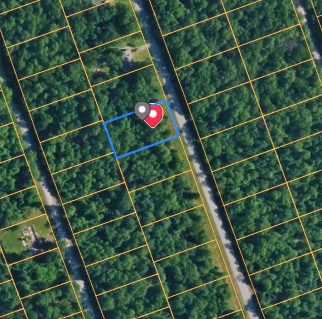 Decorative background for A Level, Wooded 0.41-Acre Lot with Paved Road Access, Utilities Available, and Two Beautiful Ozark Lakes Nearby! image 9
