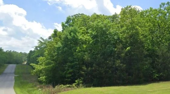 A Peaceful Corner Lot Near Everything You Love in Izard County, AR