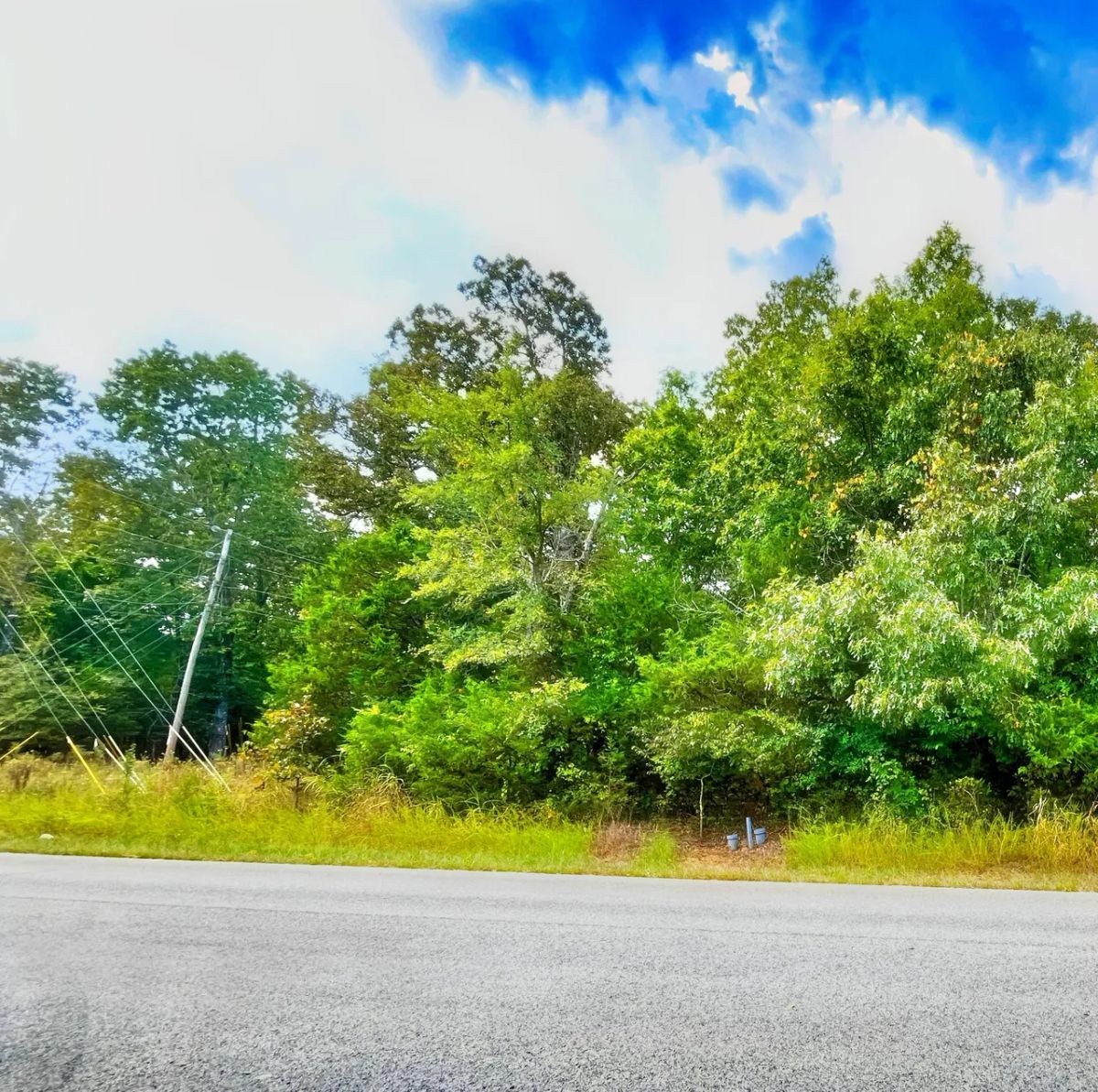 A Peaceful Corner Lot Near Everything You Love - Image 4
