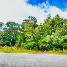A Peaceful Corner Lot Near Everything You Love in Izard County, AR