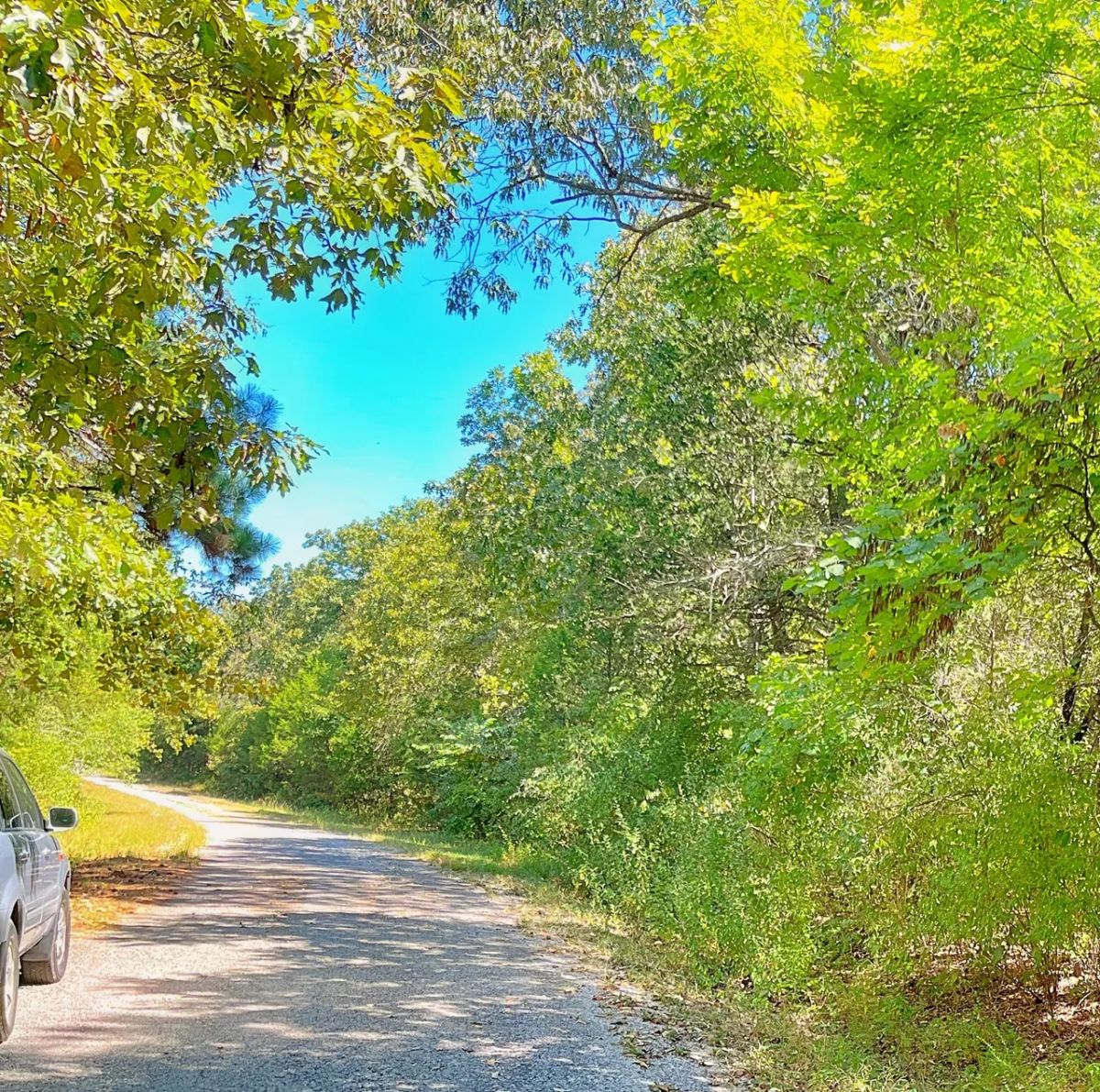 Your Lake Getaway with a View, Surrounded by Trees, Ready for Your Future Plans - Image 2