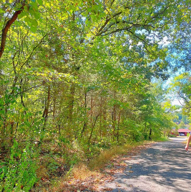 Your Lake Getaway with a View, Surrounded by Trees, Ready for Your Future Plans - Image 3