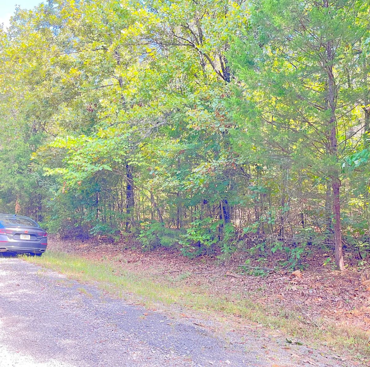 Your Lake Getaway with a View, Surrounded by Trees, Ready for Your Future Plans - Image 4