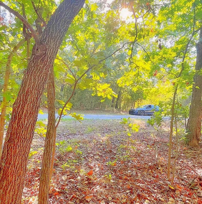 A Peaceful Corner Lot Between Two Beautiful Ozark Lakes - Image 2