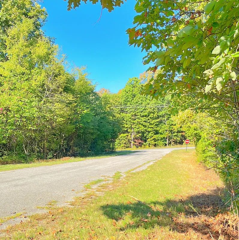 A Peaceful Corner Lot Between Two Beautiful Ozark Lakes - Image 3