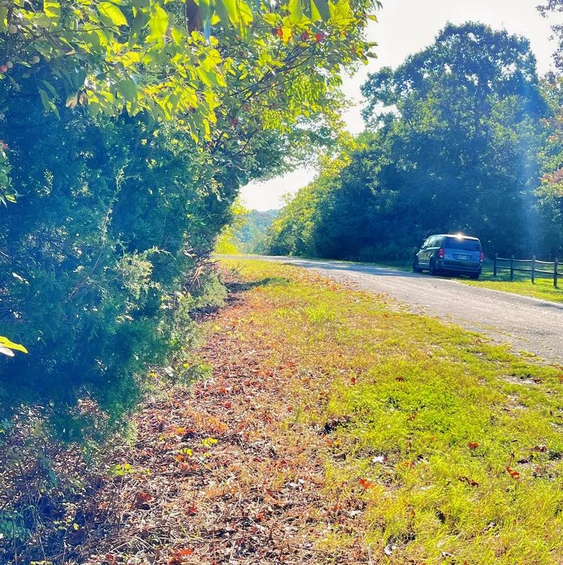 A Peaceful Corner Lot Between Two Beautiful Ozark Lakes - Image 4
