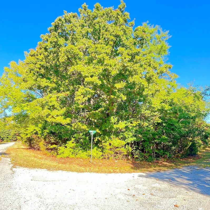 Decorative background for A Peaceful Corner Lot Between Two Beautiful Ozark Lakes image 5