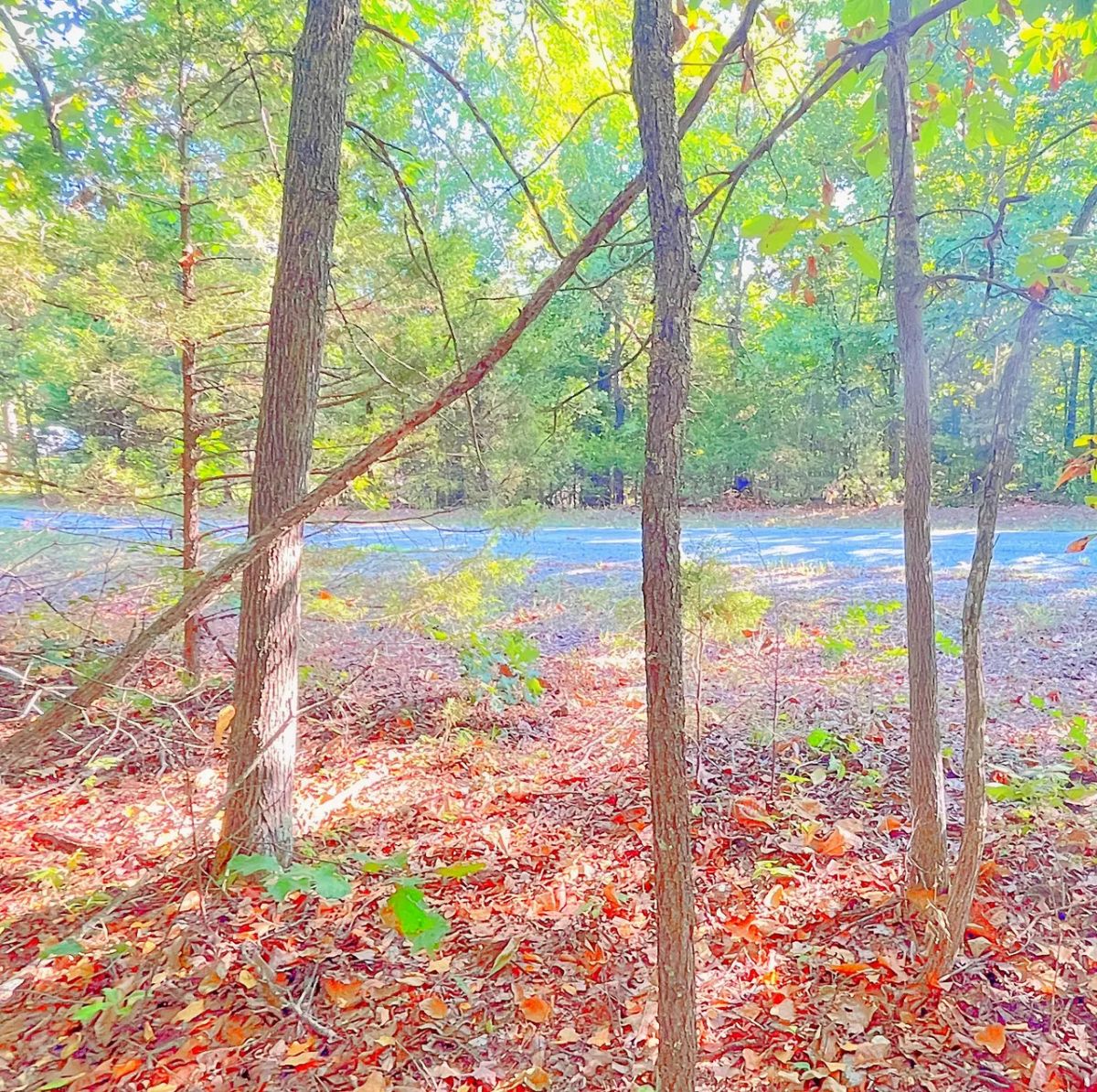 Decorative background for A Peaceful Corner Lot Between Two Beautiful Ozark Lakes image 6