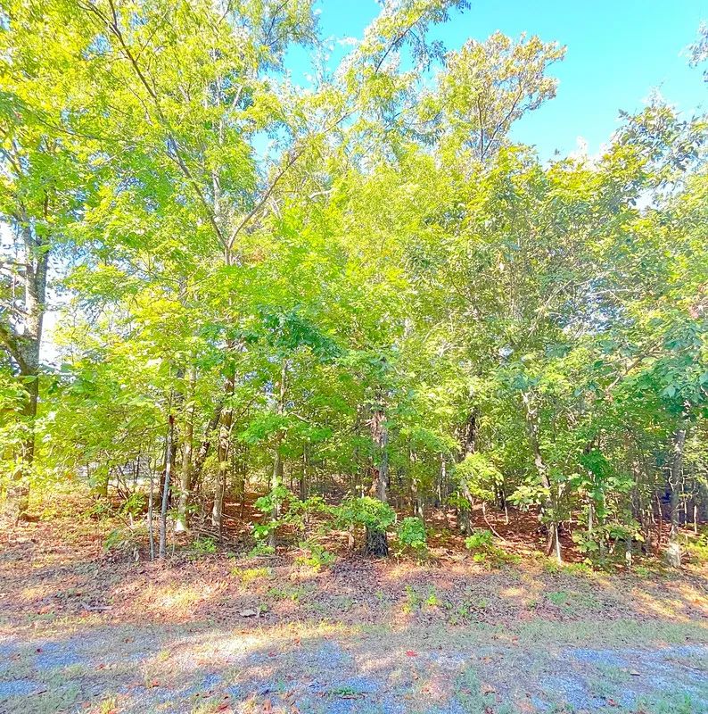 Decorative background for A Peaceful Corner Lot Between Two Beautiful Ozark Lakes image 7