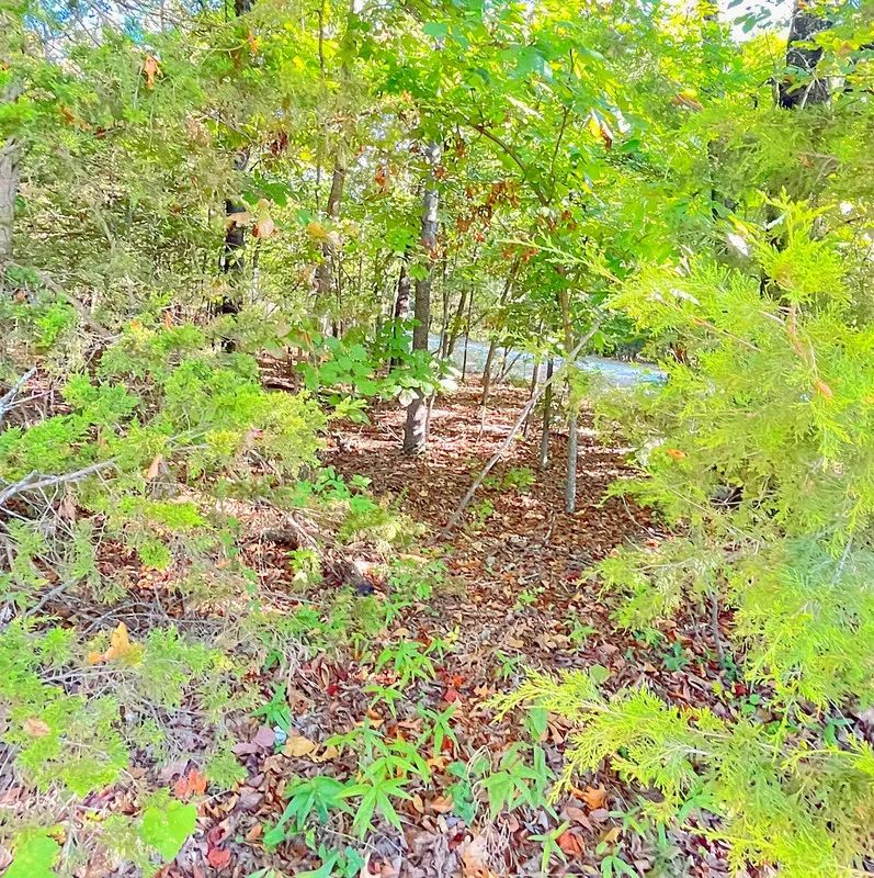 Decorative background for A Peaceful Corner Lot Between Two Beautiful Ozark Lakes image 8