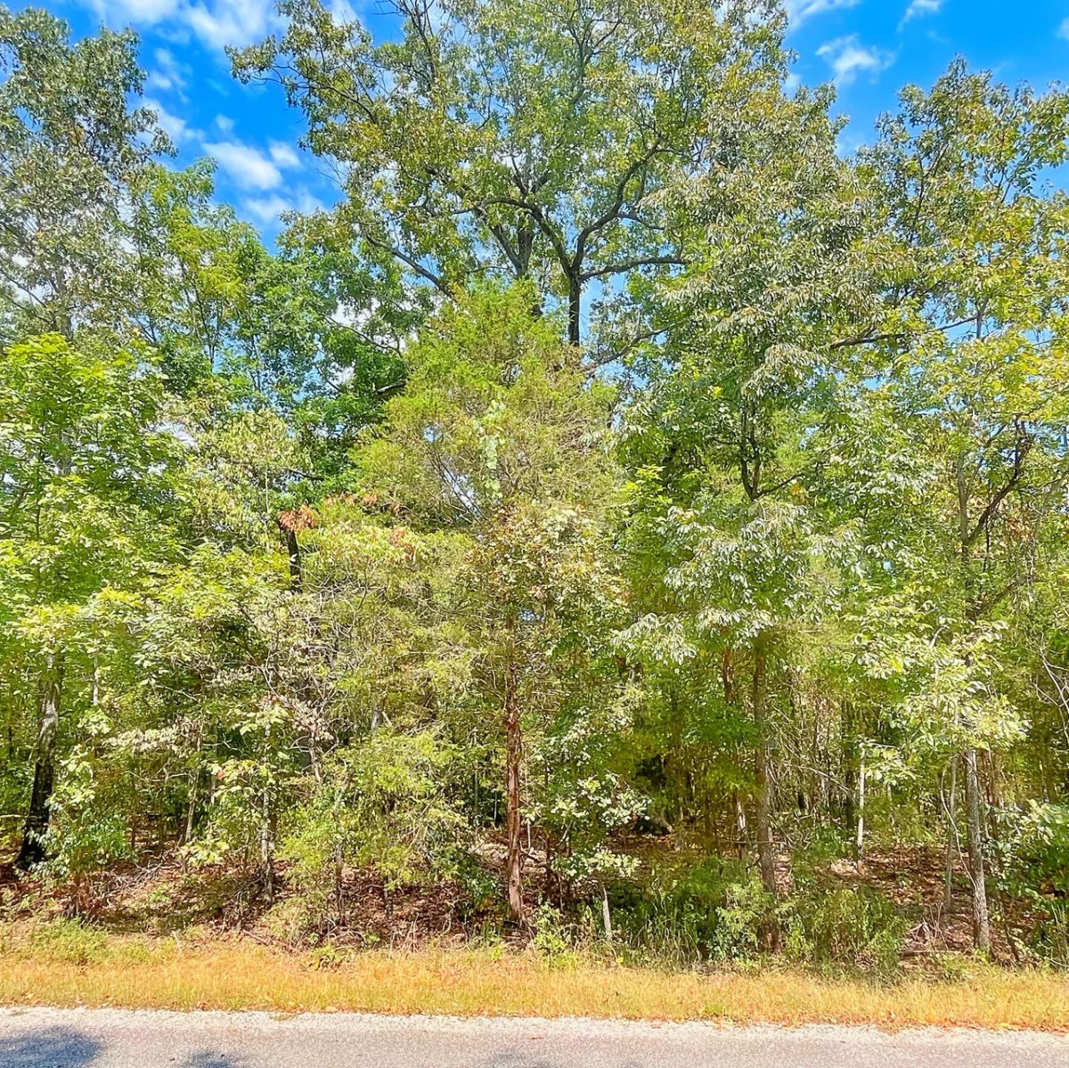 Lake Days Are Calling — 1 Block from Crown Lake! - Image 2