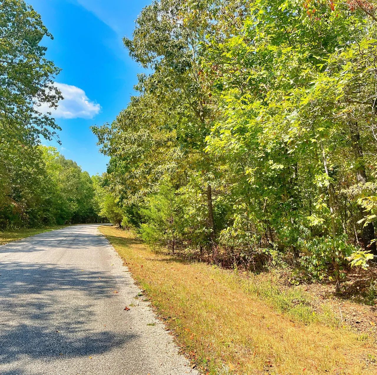 Lake Days Are Calling — 1 Block from Crown Lake! in Izard County, AR