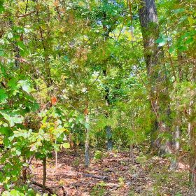 Lake Days Are Calling — 1 Block from Crown Lake! in Izard County, AR