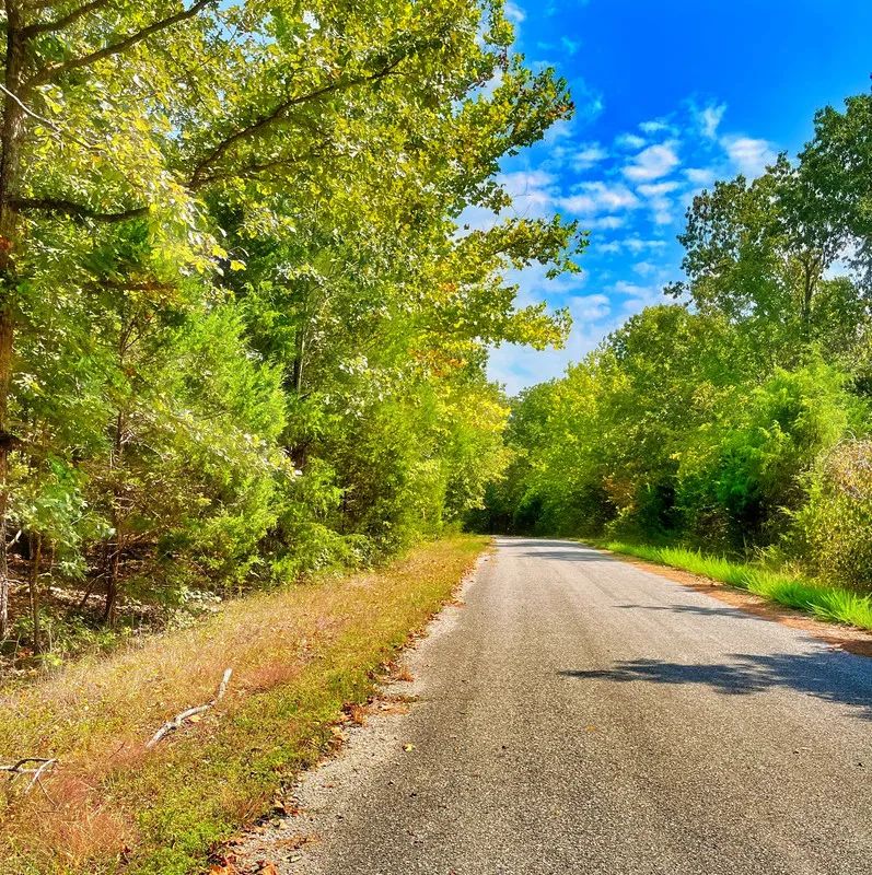 Decorative background for Lake Days Are Calling — 1 Block from Crown Lake! image 5