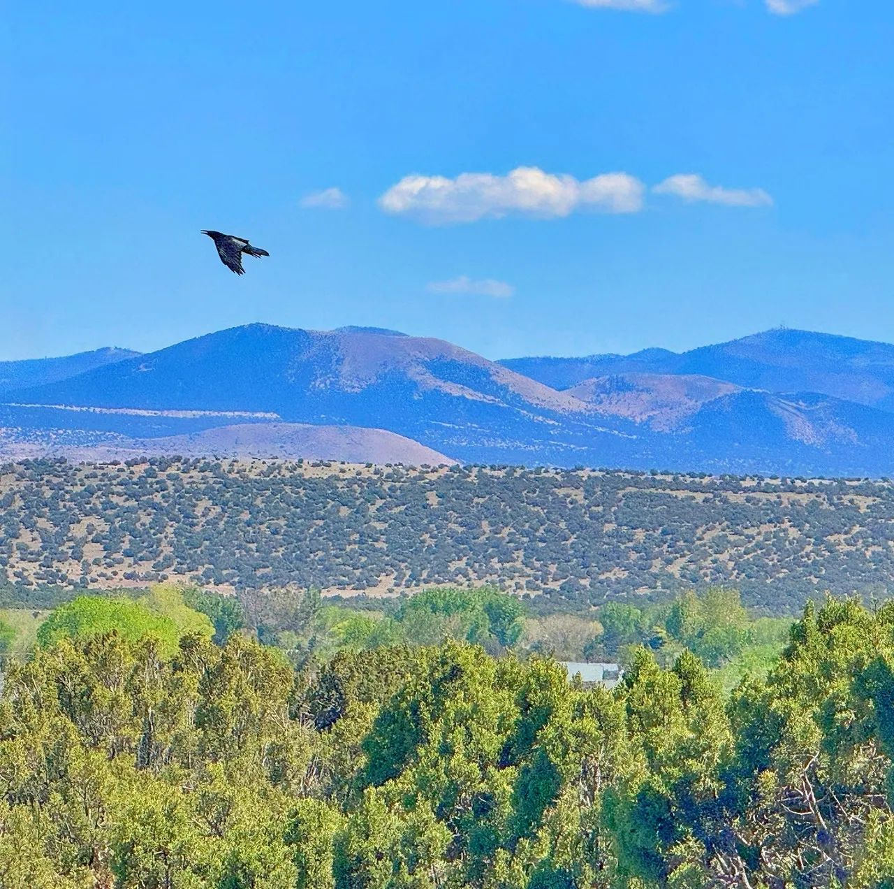 Lake Views and Retirement Bliss in Concho, AZ!