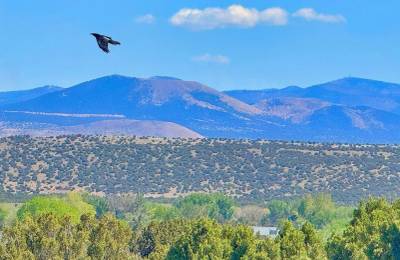 Lake Views and Retirement Bliss in Concho, AZ!