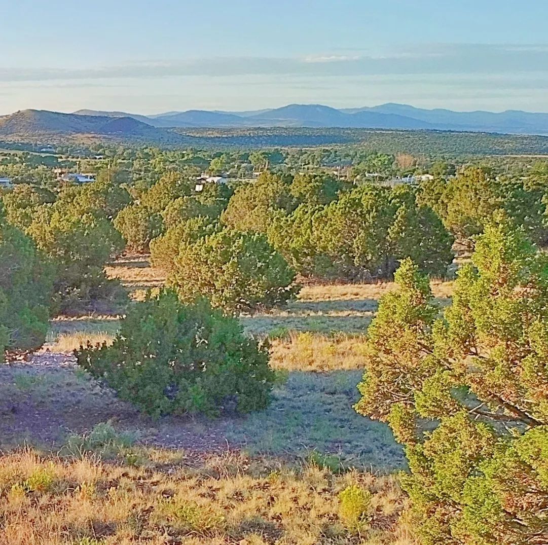 Lake Views and Retirement Bliss in Concho, AZ! - Image 4