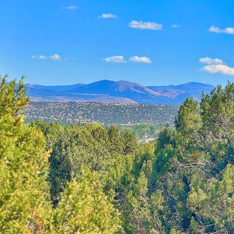 Decorative background for Lake Views and Retirement Bliss in Concho, AZ! image 5