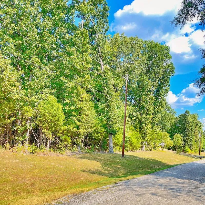 Enjoy the Simple Life – Walk to Downtown Horseshoe Bend from Your Own 0.33 Acres!