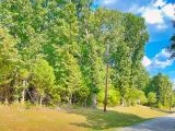 Enjoy the Simple Life – Walk to Downtown Horseshoe Bend from Your Own 0.33 Acres!