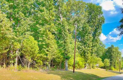 Enjoy the Simple Life – Walk to Downtown Horseshoe Bend from Your Own 0.33 Acres!