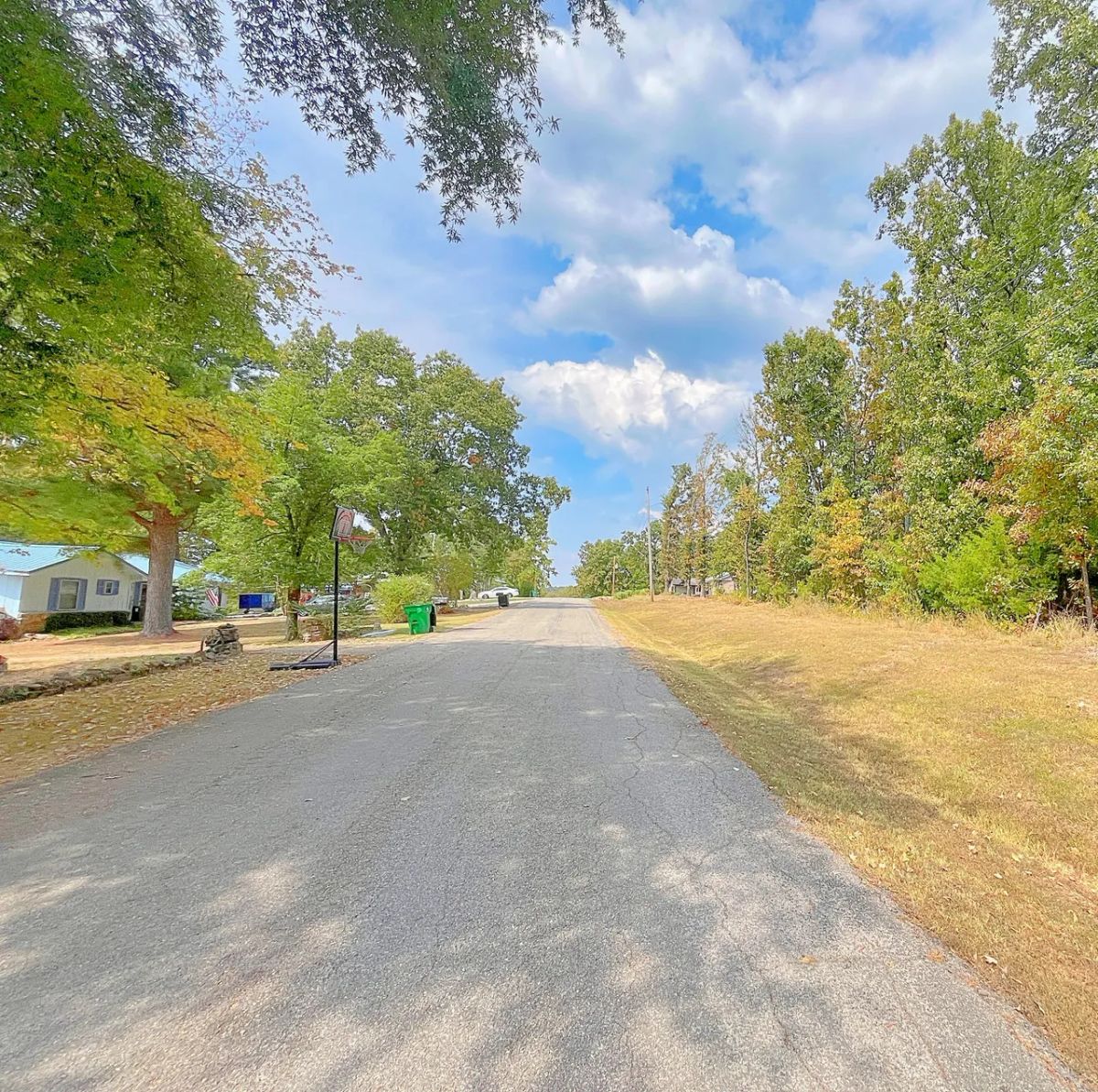 Enjoy the Simple Life – Walk to Downtown Horseshoe Bend from Your Own 0.33 Acres! - Image 4